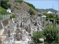 個人・共同墓地
