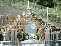共同墓地